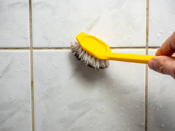 Best Mold Removal Near Me  in Ogden, UT