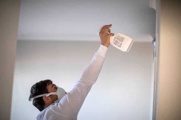 Best Mold Inspection  in Ogden, UT